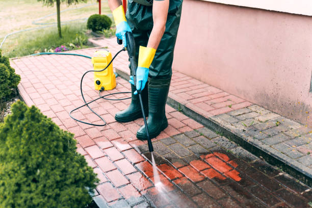 Animal Enclosure Cleaning in Prince George, VA